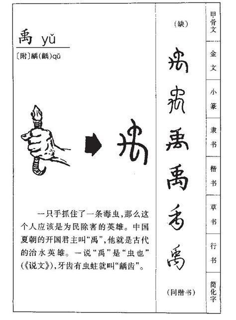 禹名字|禹字取名的寓意